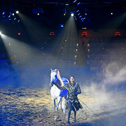 Medieval Times Image 1 – Photo credits: © Caught in the Moment Photography